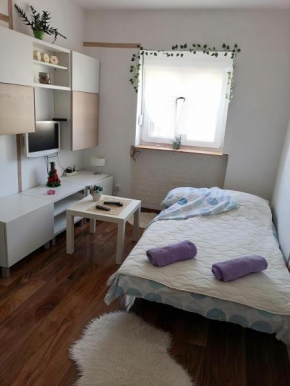 Small low cost studio Dorcol